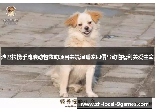 迪巴拉携手流浪动物救助项目共筑温暖家园倡导动物福利关爱生命