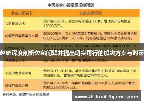 赵鹏深度剖析欠薪问题并提出切实可行的解决方案与对策